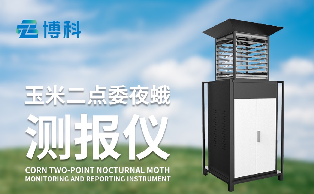 玉米二點(diǎn)委夜蛾的危害性和治理手段，玉米二點(diǎn)委夜蛾監(jiān)測儀