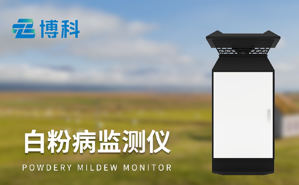小麥白粉病監(jiān)測設備更加精準防治小麥白粉病